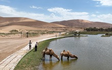 Không phục cảnh "cát nuốt chửng người", Trung Quốc xây ‘Vạn Lý Trường Thành’ thứ 2 chấn động thế giới: Cây phủ cát dài 1.856 km, bao quanh khu vực rộng bằng Hungary