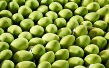 Loại quả của Việt Nam khiến người Trung Quốc siêu mê: diện tích trồng hơn 110.000 ha, đến cựu Đại sứ Hoa Kỳ cũng phải xuýt xoa khen 'ngon nhất thế giới'