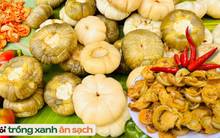 Món ăn dân dã nhưng có tuổi đời 300 năm, cả trăm nghìn đồng/kg nhưng vẫn đắt khách mua