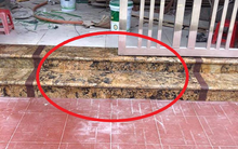 Xây thềm nhà để 1 hoặc 2 bậc có được không: Câu trả lời của chuyên gia gây bất ngờ