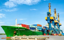 Quỹ Leadvisors rời ghế cổ đông lớn tại Xếp dỡ Hải An