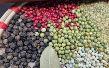 Giá tiêu Đắk Lắk bất ngờ nóng trở lại