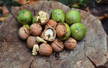 Nghiên cứu trên 90.000 người, kéo dài 20 năm của ĐH Harvard chứng minh: đây là loại hạt siêu bổ não, được mệnh danh là “vua trường thọ”, người Việt rất thích