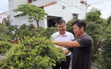 Gặp ông chủ khu vườn tiền tỷ, bán 1 cây xây nhà lầu ở Đắk Lắk