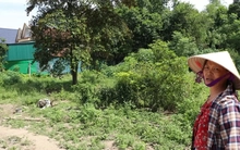 Đề xuất chuyển đất vườn sang đất ở: Người dân hết gánh nặng tiền tỷ?