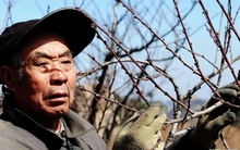 Người đàn ông nhận đền bù đất 20 tỷ đồng sau 15 năm mua nhà: Chủ cũ quay về đòi tiền, lại được toà án chia cho 60%