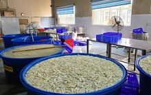 Phát hiện gần 7 tấn chân gà ngâm chất tẩy trắng