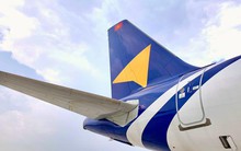 Vietravel Airlines hủy loạt chuyến bay do sự cố va chạm với chim