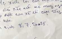 Người mẹ bỏ rơi bé trai trong rừng cao su Đồng Nai với mảnh giấy "xin lỗi con nhiều lắm"