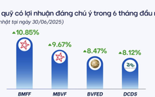 "Soi" lợi nhuận của quỹ mở 6 tháng đầu năm: Bỏ 100 triệu đồng đầu tư vào quỹ nào lãi nhất?