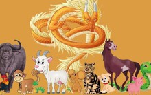 3 con giáp tam hợp càng cuối năm càng có nhiều lộc lá: Sự nghiệp thăng tiến, tiền bạc dồi dào