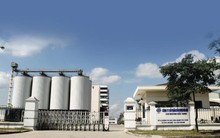 Công ty đầu tiên báo lỗ quý 2/2025