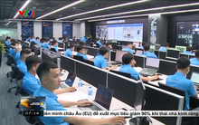 Các quỹ đầu tư quay trở lại với tài sản rủi ro