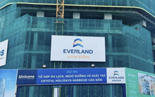 Everland bổ nhiệm một Phó Tổng Giám đốc
