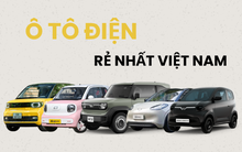 Xe xăng bị hạn chế tại Hà Nội từ 2030 - đây là 5 mẫu ô tô điện giá rẻ nhất người Việt có thể lựa chọn ngay lúc này