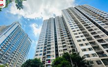 Chuyên gia: Giá nhà giảm là câu chuyện của 2026 trở đi, chung cư mới tại Hà Nội mở bán trung bình 91 triệu đồng/m2