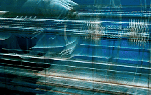 Chỉ cần thêm đúng 1 thứ, con người có thể tạo ra vàng, nhưng cả thế giới chẳng ai làm - vì sao?