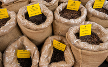 Một cuộc đua gom ‘vàng nâu’ đang diễn ra tại Mỹ: Doanh nghiệp gấp rút nhập khẩu, đối thủ của Việt Nam chứng kiến đơn hàng tăng vọt