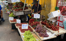 Trái cây giá rẻ chưa từng thấy