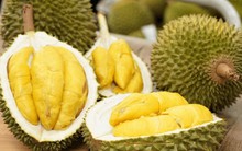 Tỷ phú Trần Bá Dương chính thức thu hoạch sầu riêng Monthong, 25-30 tấn lên kệ EMart