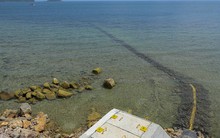 Tin vui đến với Đặc khu Côn Đảo