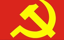 Trình Trung ương xem xét, xử lý kỷ luật đảng viên vi phạm