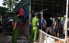 Phát hiện cơ sở thu gom heo chết vì bệnh dịch ở Quảng Ngãi chuẩn bị đưa vào miền Nam tiêu thụ