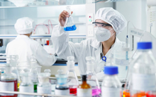 Vừa được Tập đoàn Trung Quốc đánh tiếng mua lại, DN dược hàng đầu Việt Nam trị giá gần 9.000 tỷ báo lãi quý 2 tăng trưởng 37%