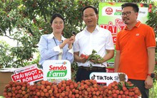 Lần đầu tiên Phó Chủ tịch Bắc Ninh livestream chốt đơn hàng chục tấn vải chỉ trong một buổi sáng