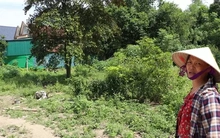 Vụ áp thuế gần 4,5 tỷ cho 300m² đất: Sở Tài nguyên Nghệ An báo cáo ra sao?
