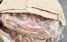 Vạch trần chiêu trò xuất khống 1.400 tấn chân gà để trốn thuế hàng tỷ đồng