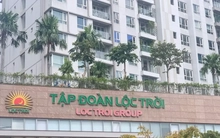 Tập đoàn Lộc Trời báo lỗ trước đại hội cổ đông