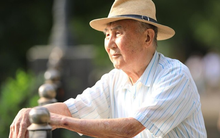 Để lại căn hộ 5,4 tỷ đồng cho con út, con trai cả tay trắng: Hôm sau, tôi sững sờ với tin nhắn từ con dâu trưởng mà cả đời khó quên