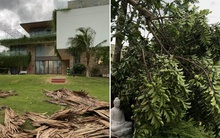 30 phút trở tay không kịp, chủ "chết lặng" khi nhìn cảnh trong biệt thự 2000m2 trước bão Wipha