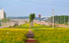 Đường nối sân bay Long Thành tăng tốc về đích, sẵn sàng đưa vào khai thác