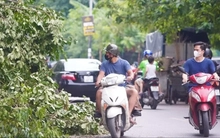 Đại học gấp rút chuyển sang học trực tuyến để phòng tránh bão số 3