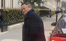 Giáo sư Mỹ tiết lộ: Đi bộ thường xuyên giúp não bộ sắc bén, thông minh vượt trội!