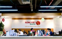 Chứng khoán Rồng Việt báo lỗ quý II/2025, 'rót' 800 tỷ đồng đầu tư trái phiếu