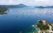 Hợp nhất Khu kinh tế Vân Phong và 4 Khu công nghiệp Ninh Thuận