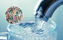 Nghiên cứu khoa học mới: Làm cách này để loại bỏ 90% VI NHỰA khỏi nước uống hàng ngày, giảm nguy cơ gây ung thư