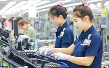 Đại bàng công nghệ thế giới xây 6 nhà máy sản xuất, tạo 87.000 việc làm tại Việt Nam, vừa cam kết một việc lớn