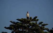 "Vào hàng thì sợ đu đỉnh, đứng ngoài thì tiếc nhịp sóng", cơ hội nào cho nhà đầu tư đang "lỡ tàu"?