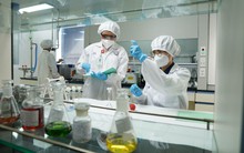 Imexpharm công bố kết quả tài chính 6 tháng đầu năm: EBITDA tăng 21%