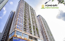 “Nhịn ăn” cả năm chỉ đủ mua 1 m2 chung cư Hà Nội