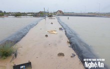 Nghệ An: Lưu lượng lũ về hồ Bản Vẽ với tần suất 5.000 năm mới xảy ra 1 lần