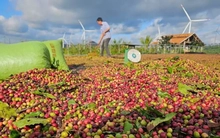 Sửa đổi Nghị định 103/2024/NĐ-CP: Cần xem xét đến cả doanh nghiệp tư nhân