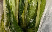 5 thực phẩm “nhìn tươi ngon” nhưng vi khuẩn nhiều khủng khiếp, cảnh báo người thân vứt ngay kẻo rước bệnh!