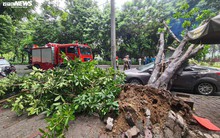 Ô tô bị hư hỏng do bão lũ sẽ được bồi thường bảo hiểm thế nào?