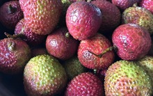 Mua vải thiều thấy 3 loại như này thì nhớ quay đầu, người bán hàng thậm chí còn không dám ăn