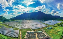 Thủ tướng chỉ đạo TP. HCM, Đồng Nai, Phú Thọ... khẩn trương hoàn thành một nhiệm vụ, báo cáo kết quả trước 25/7